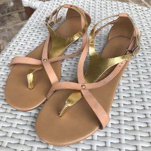 Seychelles Blush and Gold Gladiator Sandals